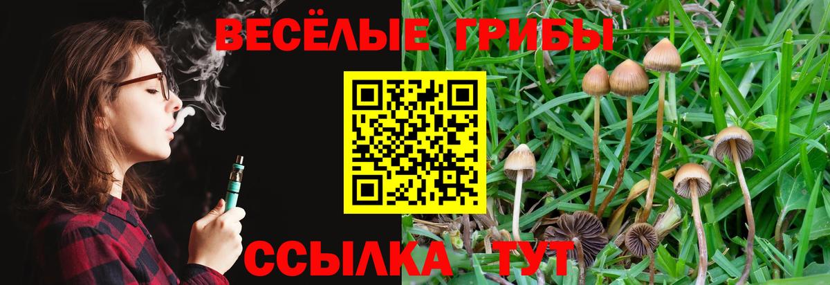 Псилоцибиновые грибы Magic Shrooms Бугуруслан