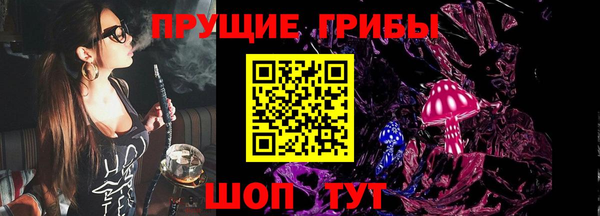 Галлюциногенные грибы прущие грибы  Вход с VPN  Бугуруслан 